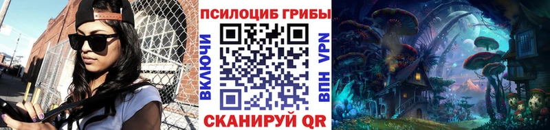 Галлюциногенные грибы ЛСД  цены   Терек 